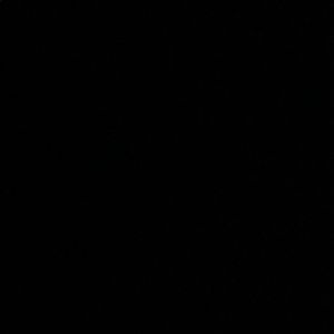 Meet your Posher, Drake